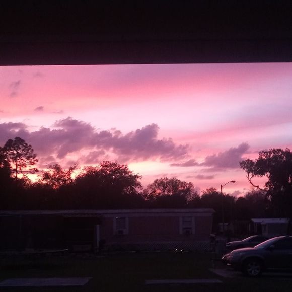 Meet your Posher, Trinity - Picture 1 of 1